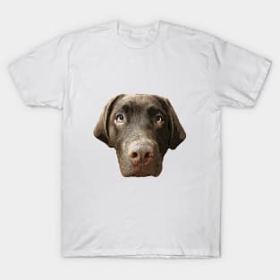 Labrador Chocolate Lab Puppy Dog T-Shirt